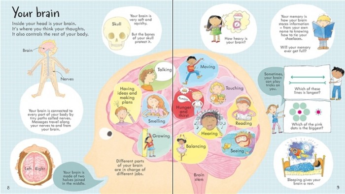 look inside your body book brain